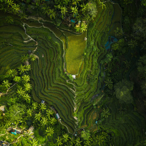 Ubud